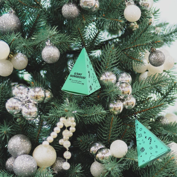Serum Lovers Bauble - Image 2